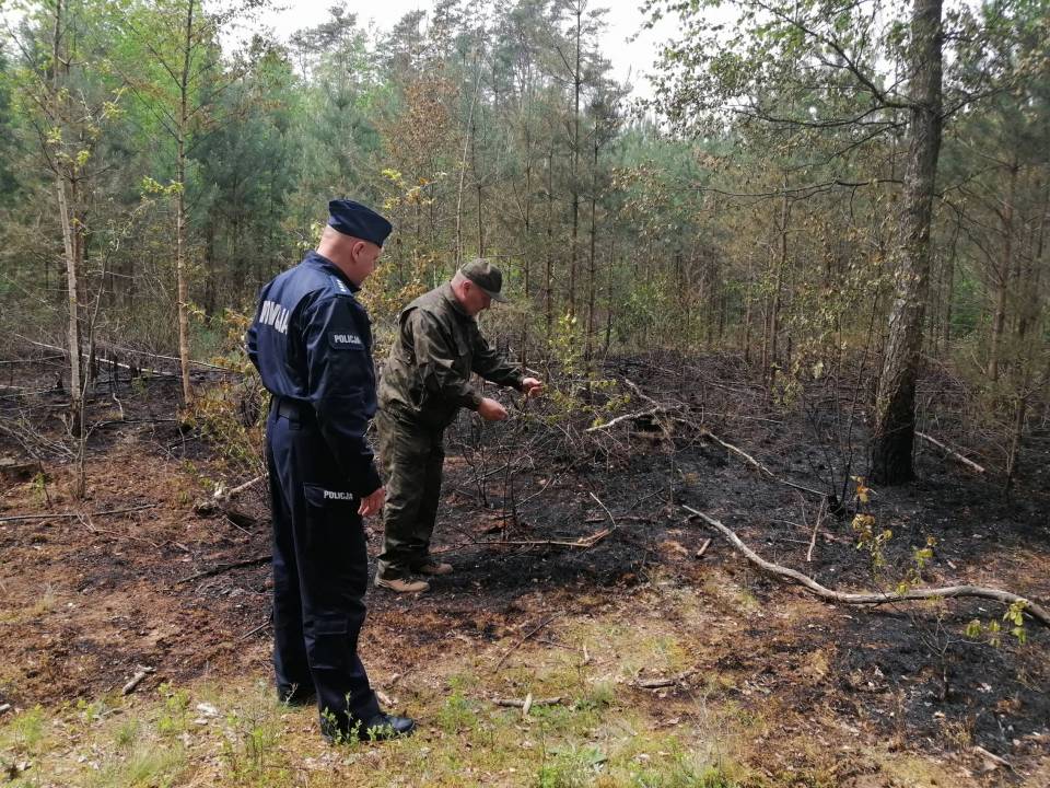 Podpalacz lasu złapany na gorącym uczynku. Mężczyzna miał prawie 3 promile alkoholu